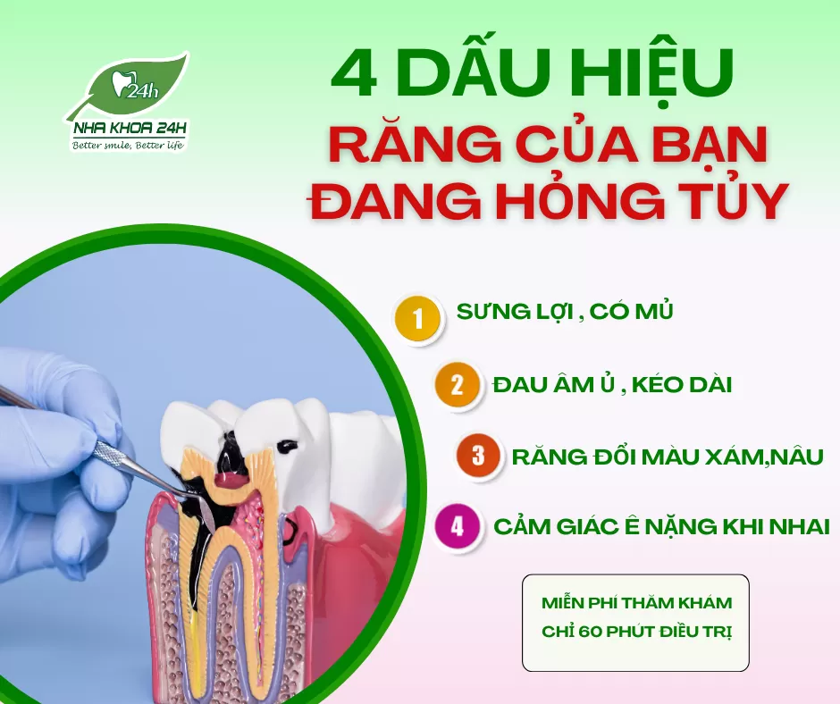 4 Dấu Hiệu Răng Của Bạn Đang Bị Hỏng Tủy