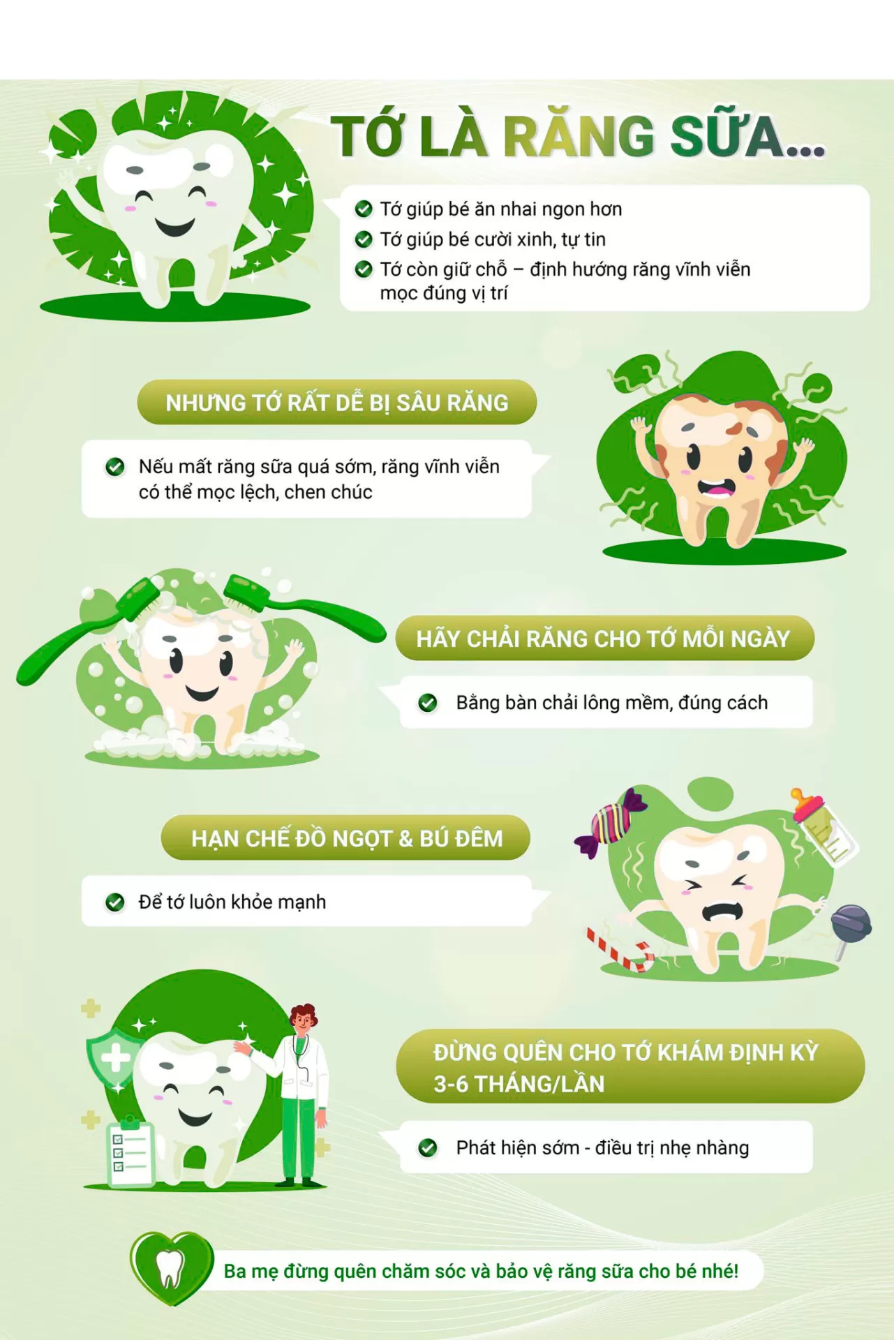 ? Răng sữa – Nhỏ nhưng vô cùng quan trọng với bé